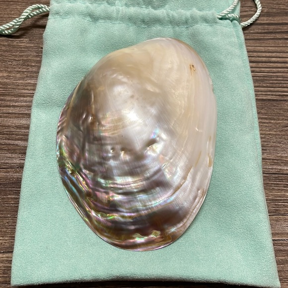 Large Shell Belt Buckle - Picture 2 of 9